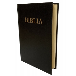 Biblia Cornilescu mare Cartonata, cotor auriu/argintiu