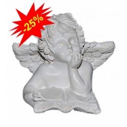 Ingeras decor cu carte