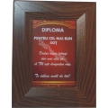 Diploma eleganta  pentru cel mai bun sot! 
