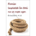 Felicitare A6,  Funia impletita in trei....