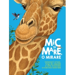 Mic şi mare, o mirare