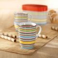 Set 2 căni din porţelan in cutie