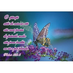 Sticker  O stiinta atat de minunata