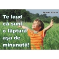Stickere crestine Te laud ca sunt o faptura asa de minunata