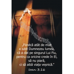 Stickere crestine Ioan 3.16  Fiindcă atât de mult a iubit Dumnezeu lumea...