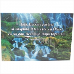 TABLOU PERETE  Iata Eu vin curand...
